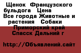 Щенок  Французского бульдога › Цена ­ 35 000 - Все города Животные и растения » Собаки   . Приморский край,Спасск-Дальний г.